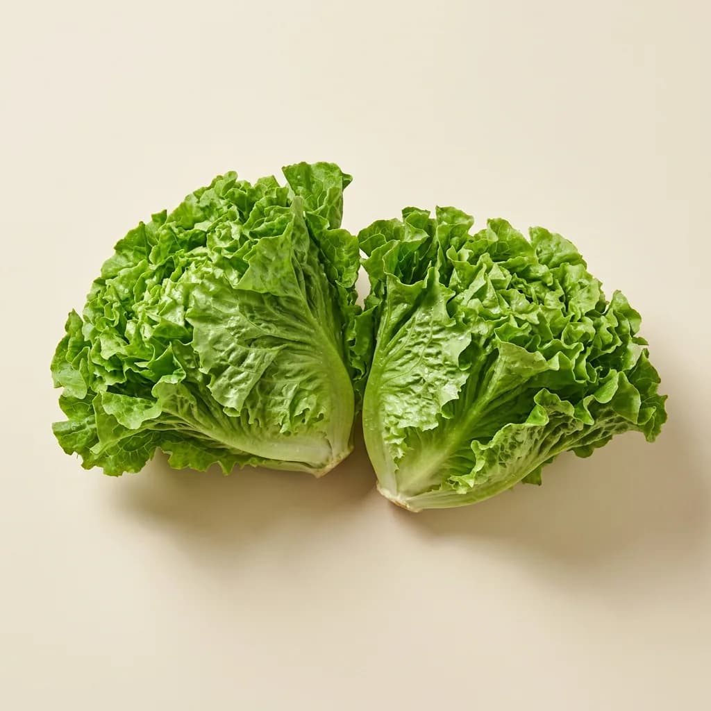 Illustrative studio photograph of lettuce