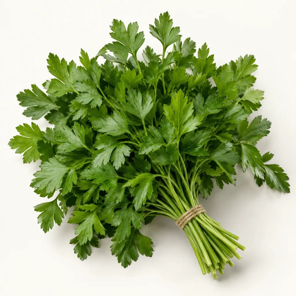 Parsley, illustrative AI-generated product photograph