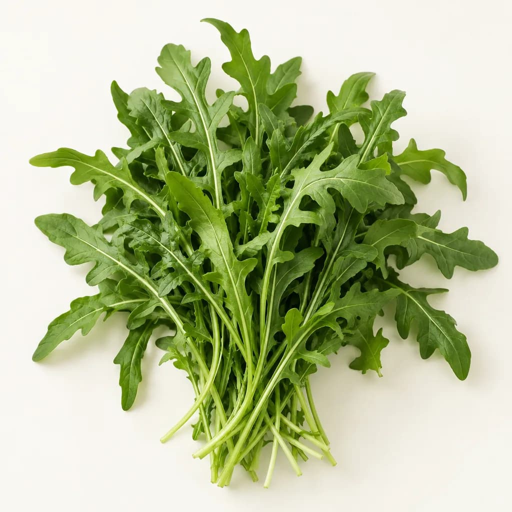Rocket, illustrative AI-generated product photograph