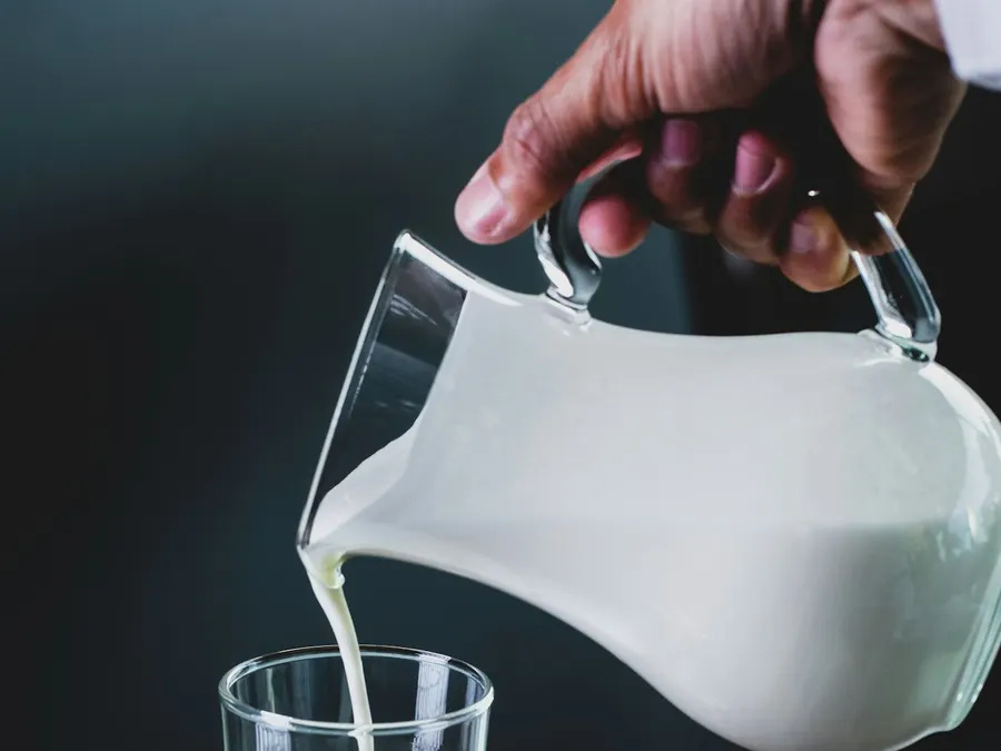 Full cream milk