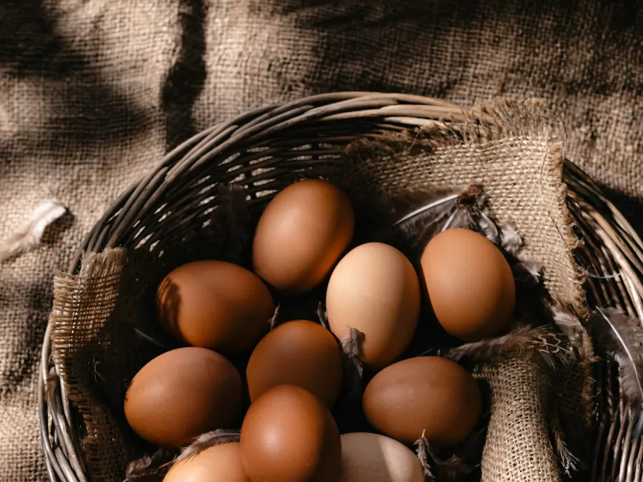 Eggs