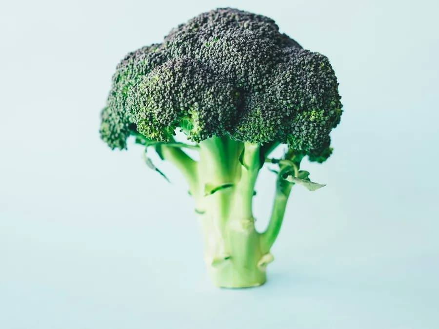 Broccoli