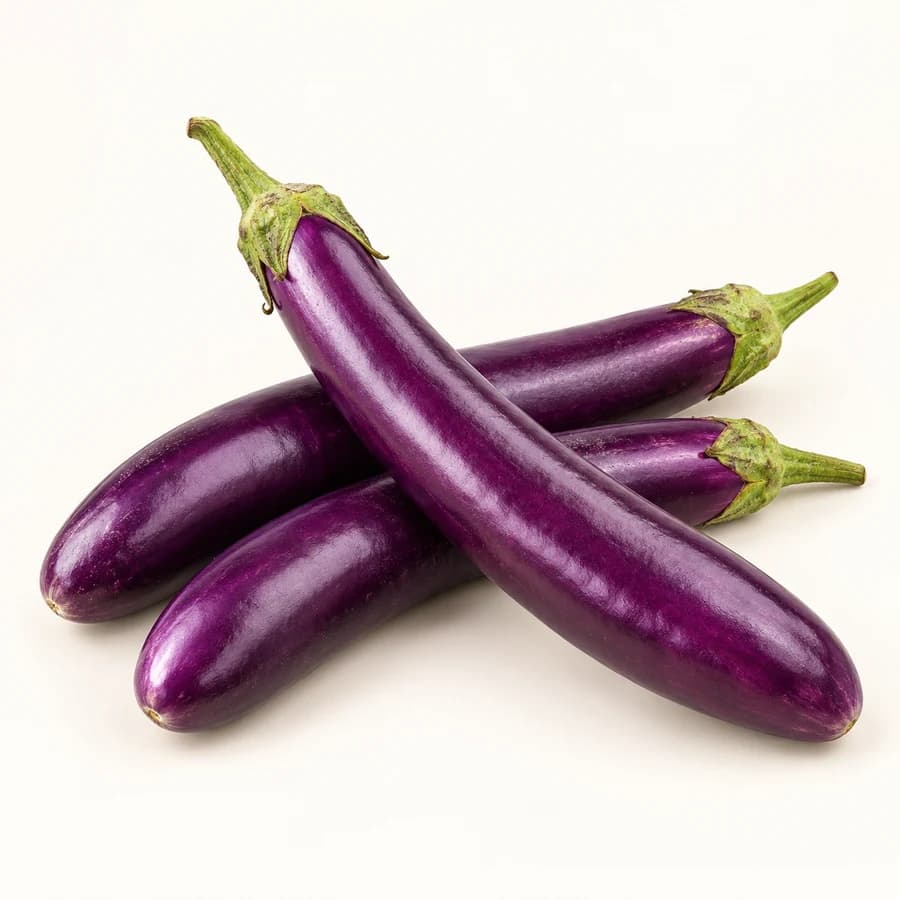 AI illustrative studio photograph of long eggplant